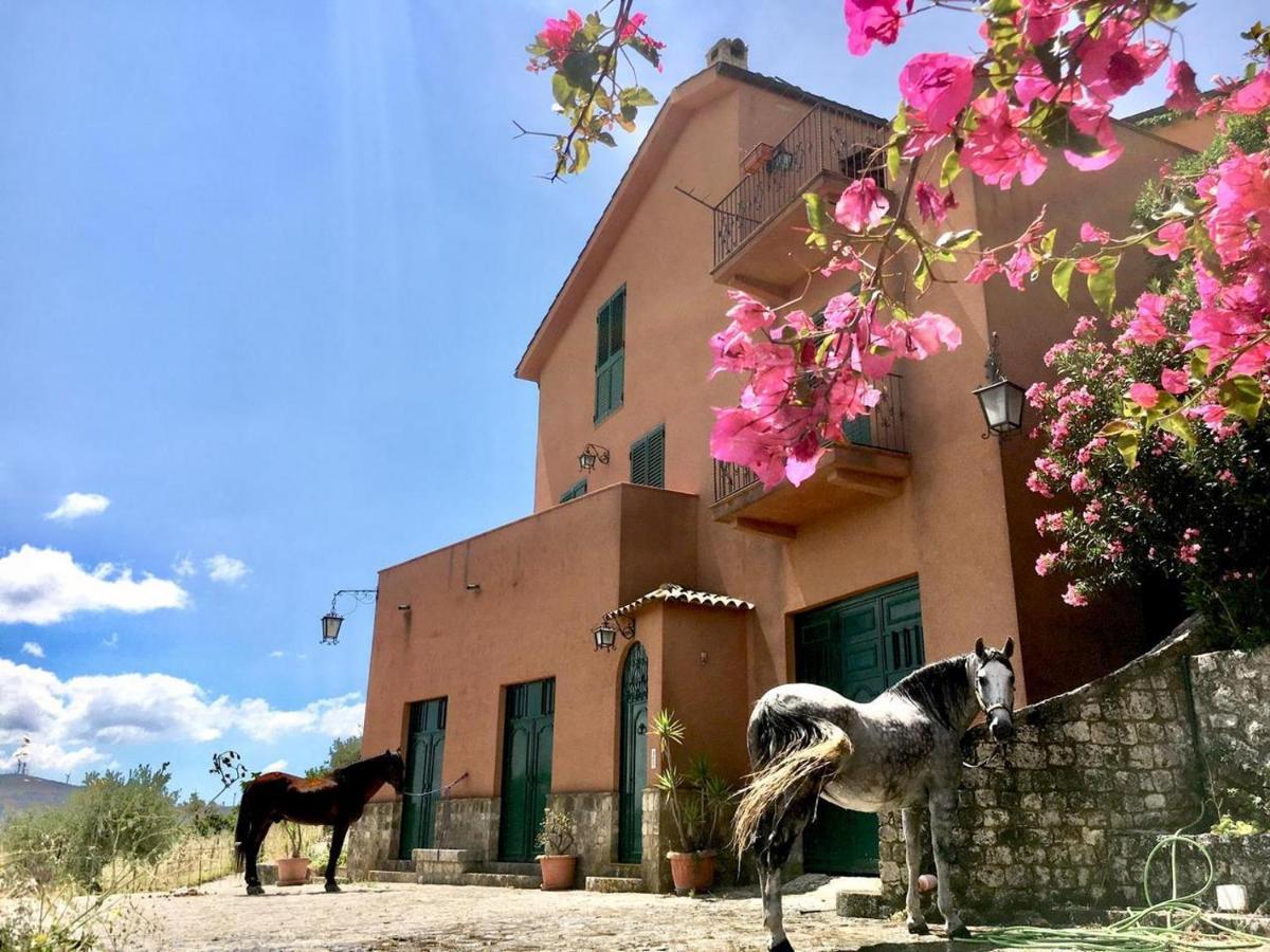 Country Sicily Home Фавара Екстериор снимка